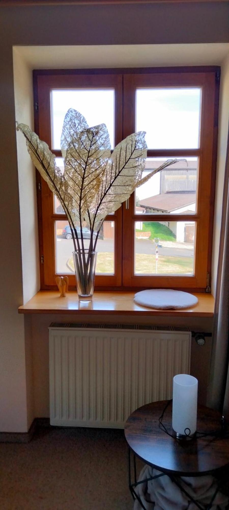 Apartments Angela Wiesau المظهر الخارجي الصورة