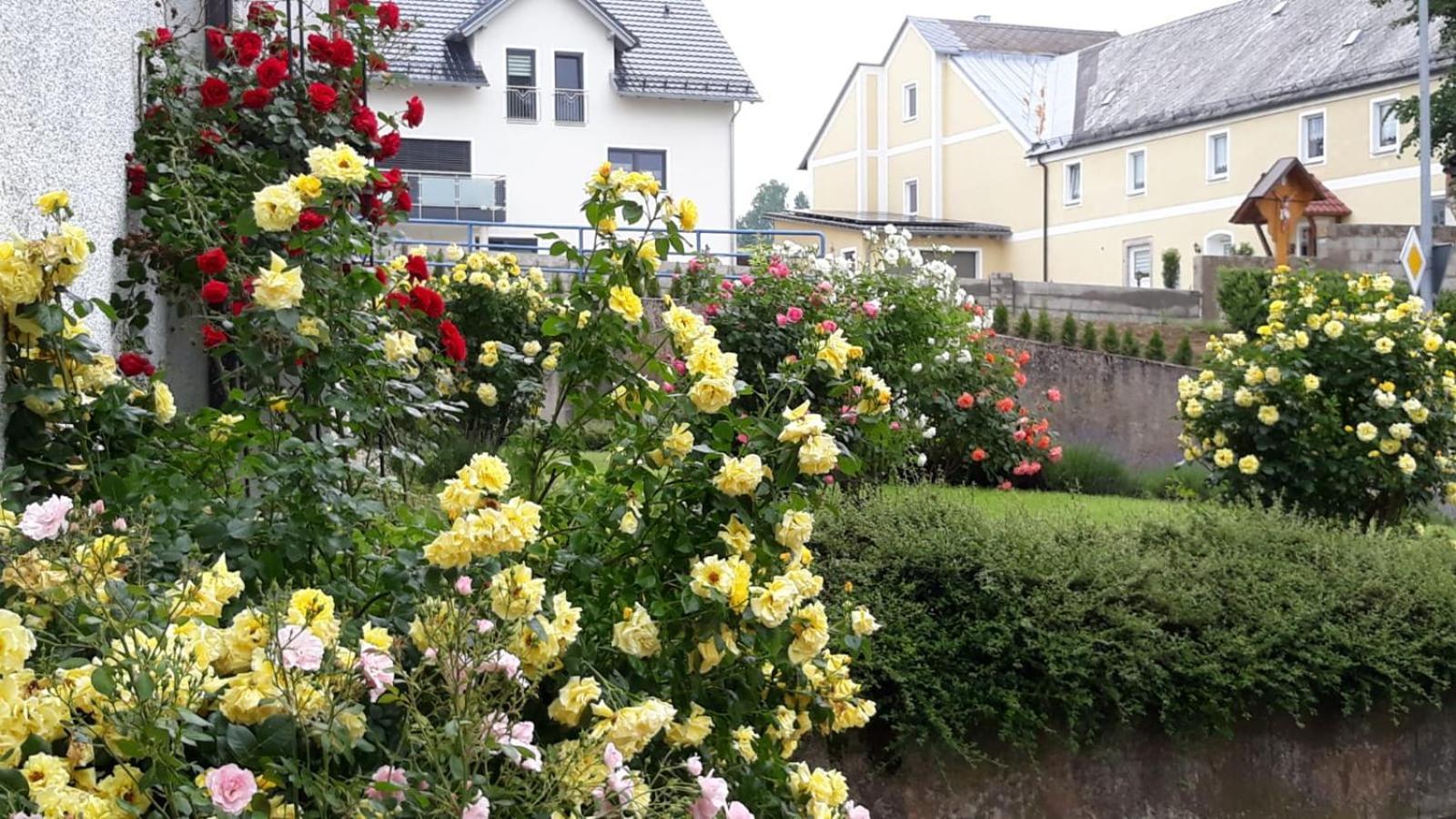 Apartments Angela Wiesau المظهر الخارجي الصورة